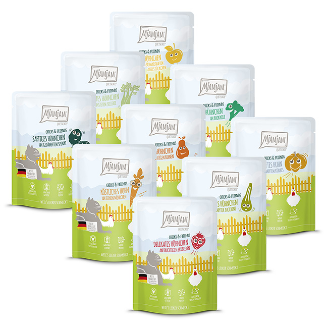 Chicks & Friends Quetschie-Box