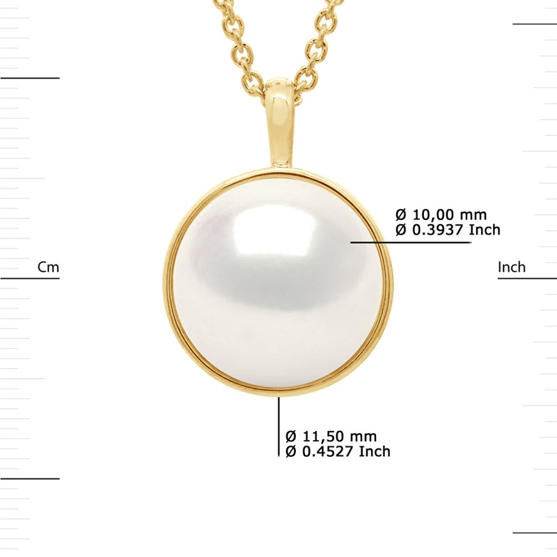 Collier Bélière Entourage Lisse - Véritable Perle de Culture d'Eau Douce Bouton 10-11 mm - Blanc Naturel - Or Jaune