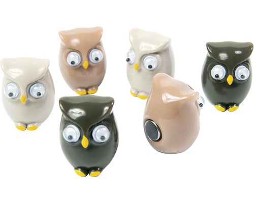 Decoratieve uilenmagneten, set van 6