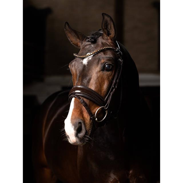 Hoofdstel LeMieux Kudos Dressage Lak Bruin-bruin