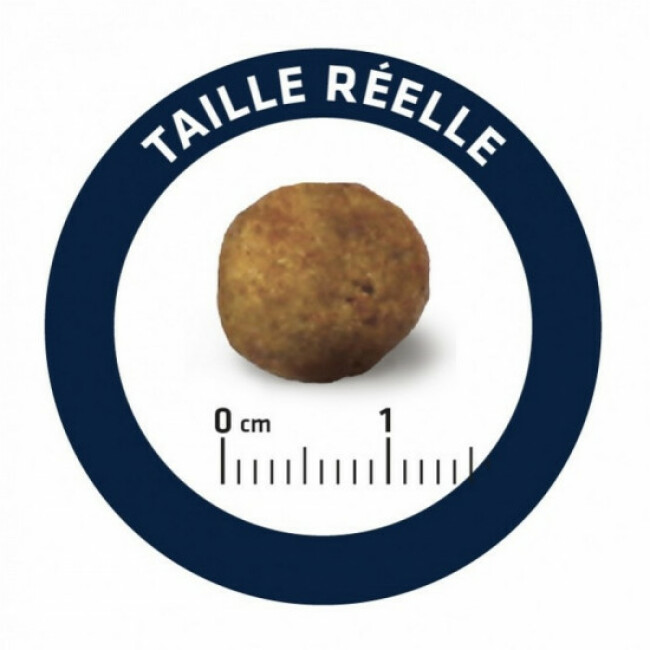 Croquettes Advance Veterinary Diets Articular Reduced Calories pour chiens