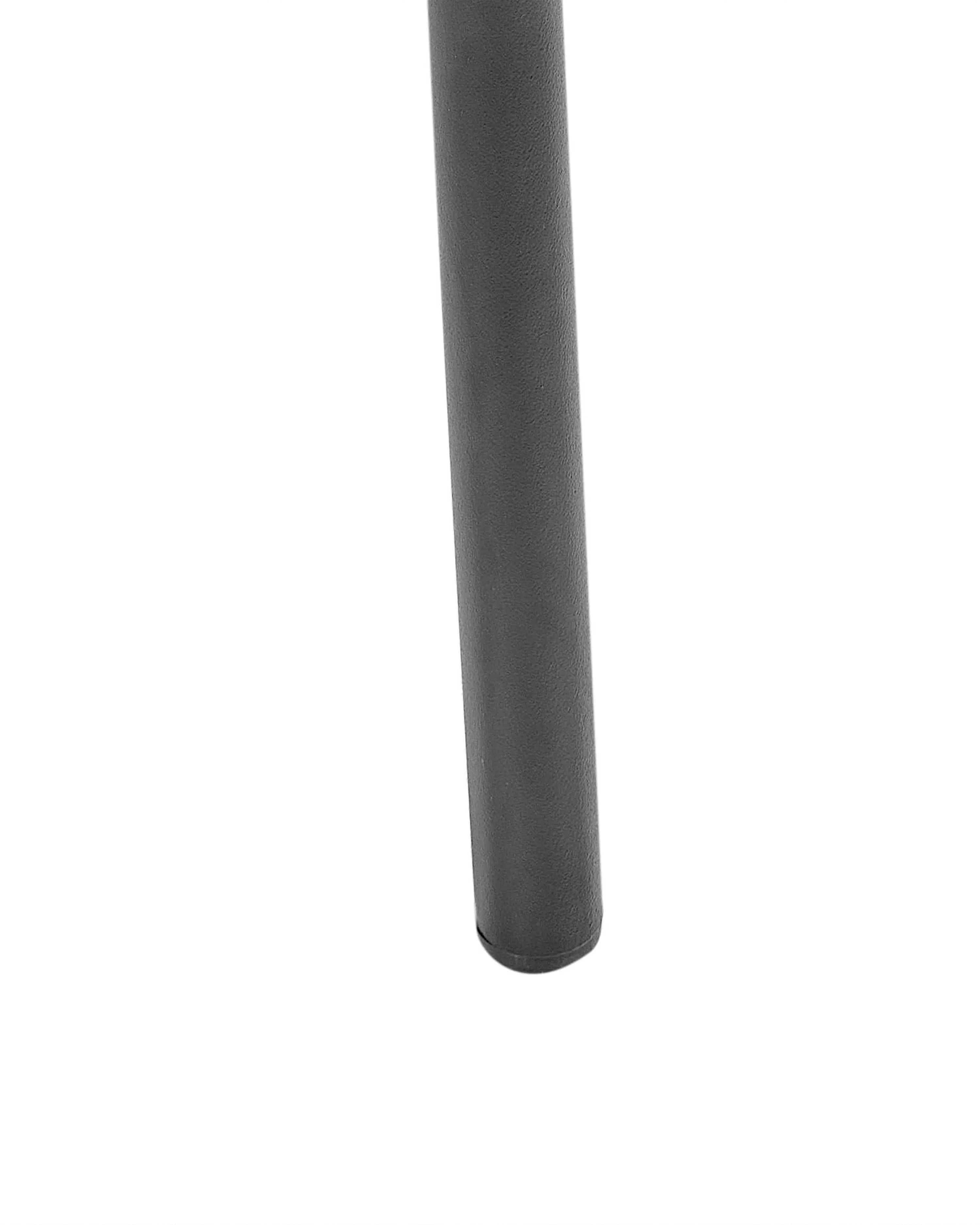 Set van 2 eetkamerstoelen CASEY Lichtgrijs