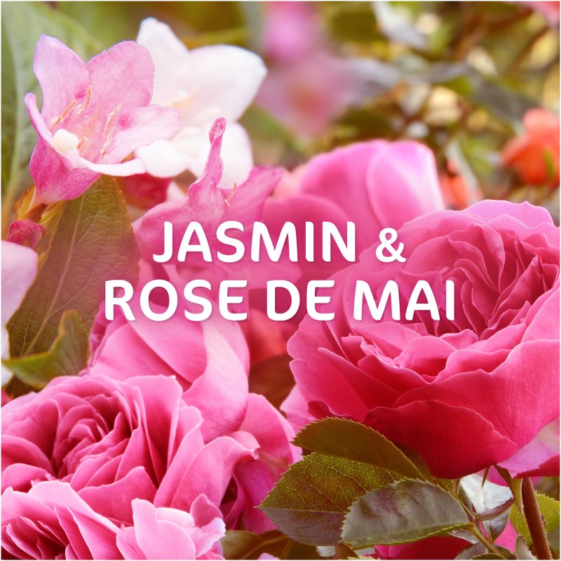 Lessive Pods Dash 2 en 1 fraicheur Jasmin et rose de mai - 38 lavages