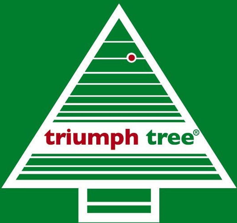 Triumph Tree guirlande Forest 96 lampjes warm wit 270 cm
