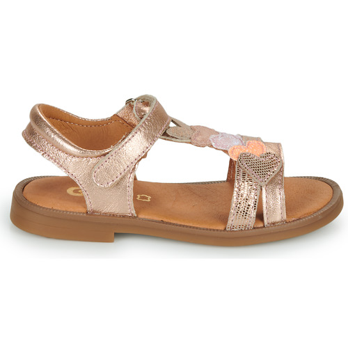 GBB - MAISIE - Rose