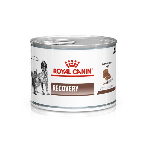 Ração Húmida Royal Canin Vet Diet Recovery Canine/Feline 195g