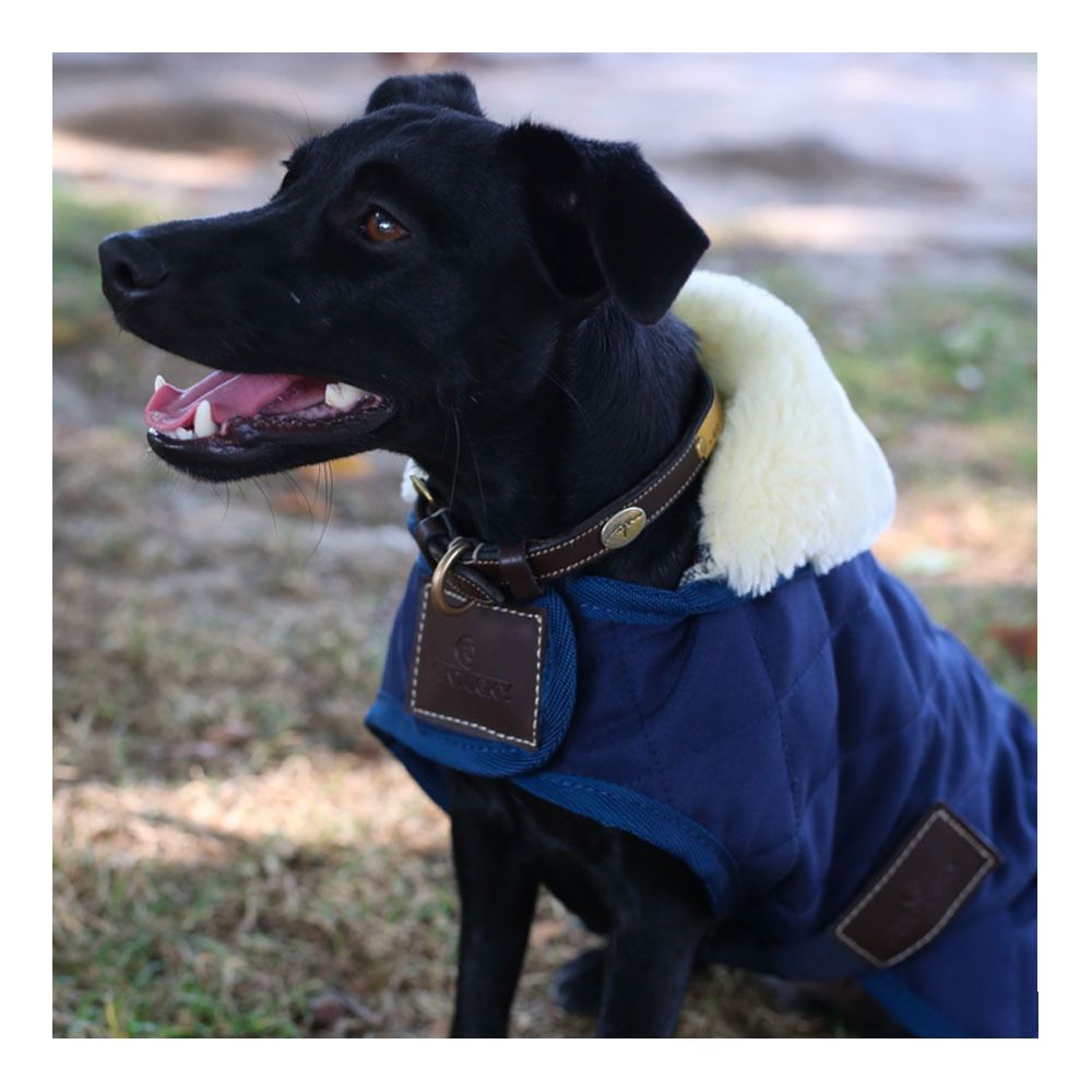 Kentucky ORIGINAL 160G - Couverture pour chien navy