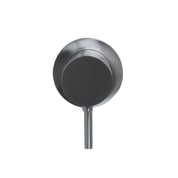 Beldeaux RVS inbouw hendel thermostatisch