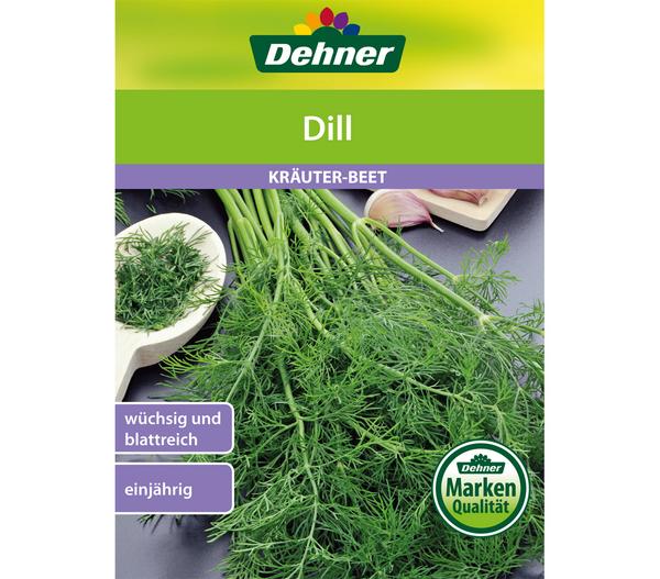 Dehner Samen Dill