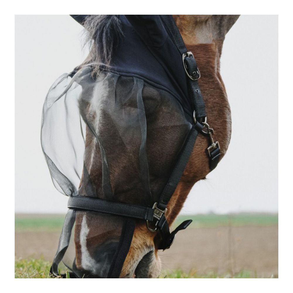 Equitheme ANTI UV - Licol + masque anti-mouches noir
