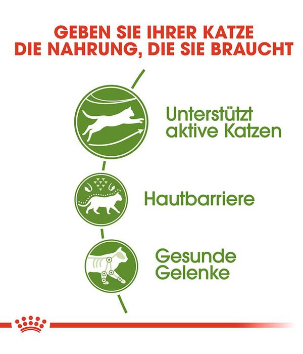 ROYAL CANIN® Trockenfutter für Katzen
