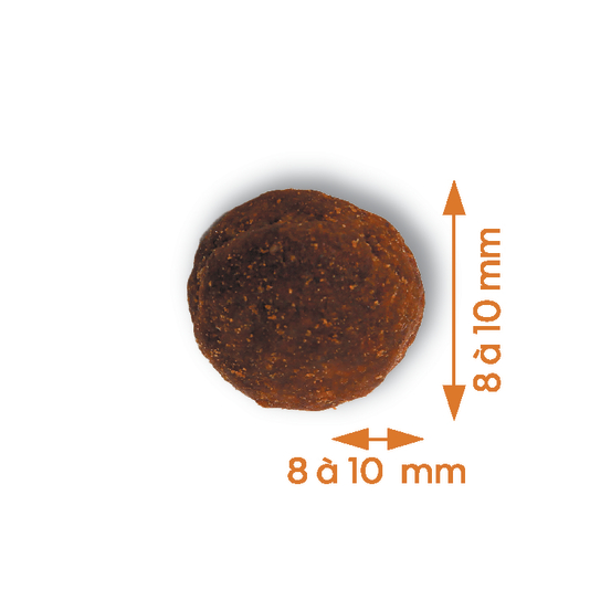 Croquettes Chiot moyenne & grande taille poulet sans céréales 12kg