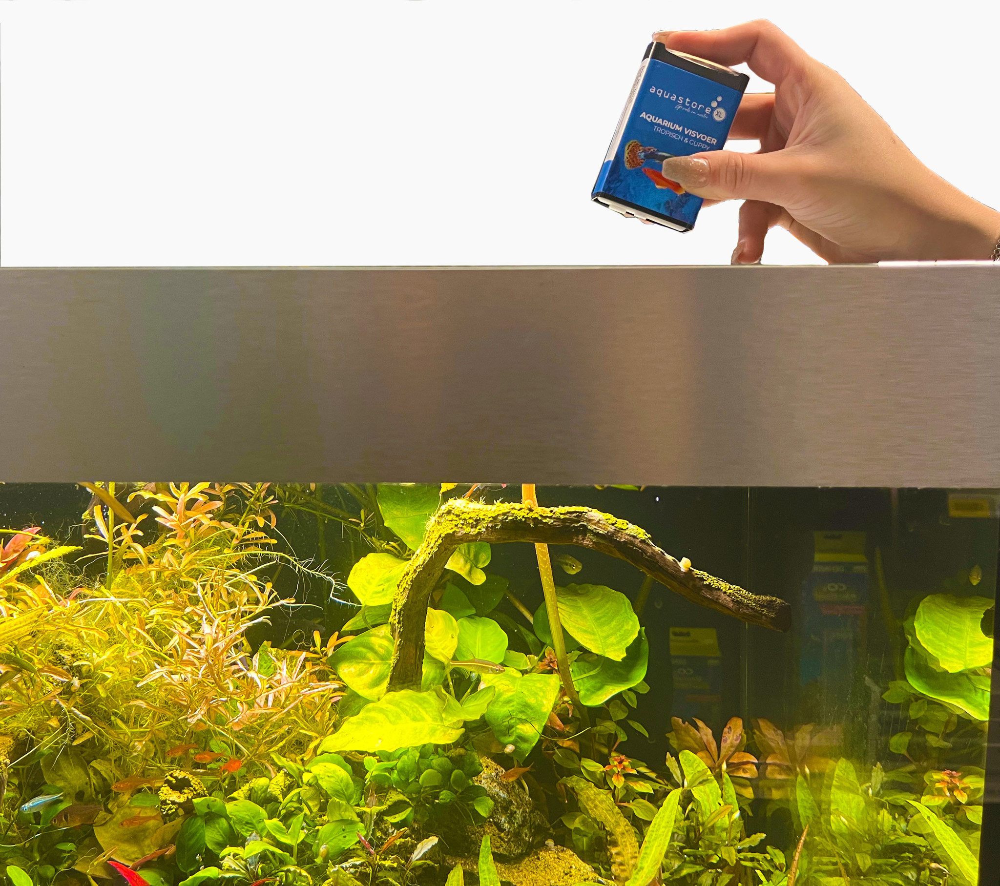 Goudvis & Sluier Korrel Dispenser | Aquariumvoer