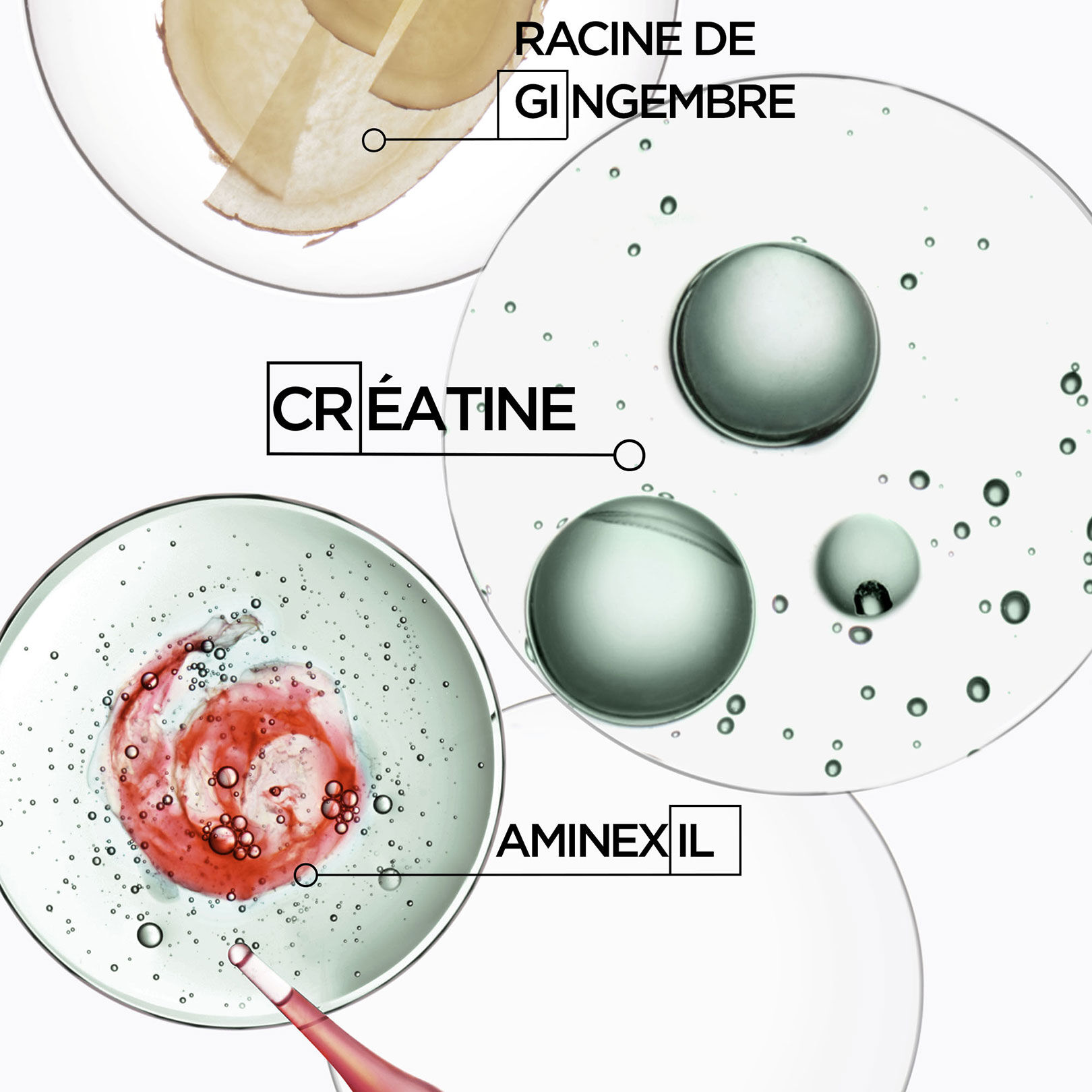 Bain de force quotidien Genesis Homme
