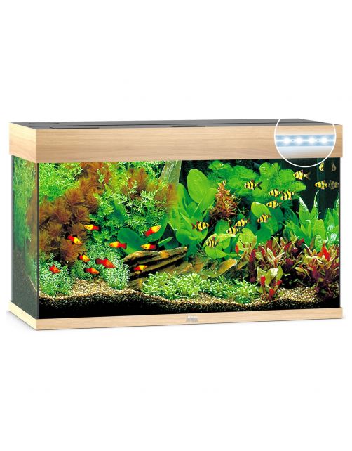 Juwel Aquarium Rio 125 Led 80x35x50 cm - Aquaria
