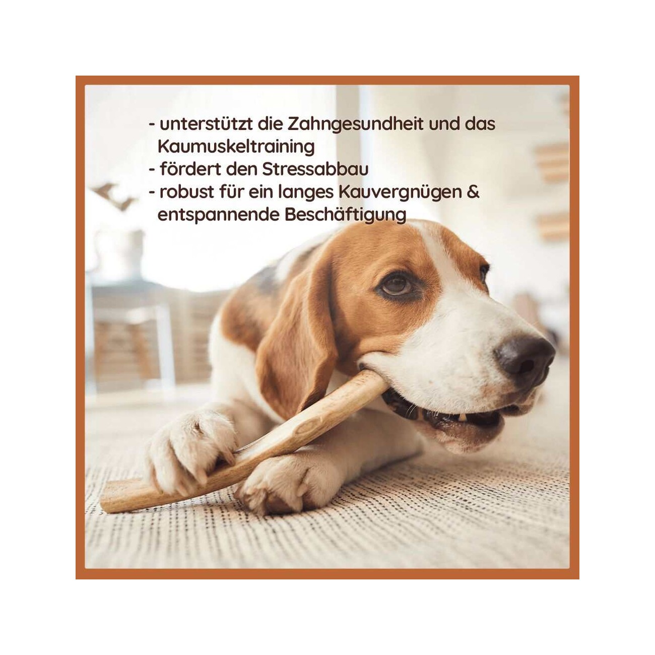 Wildfang ® halbes Rothirsch-Geweih Snack 3xS, 3x