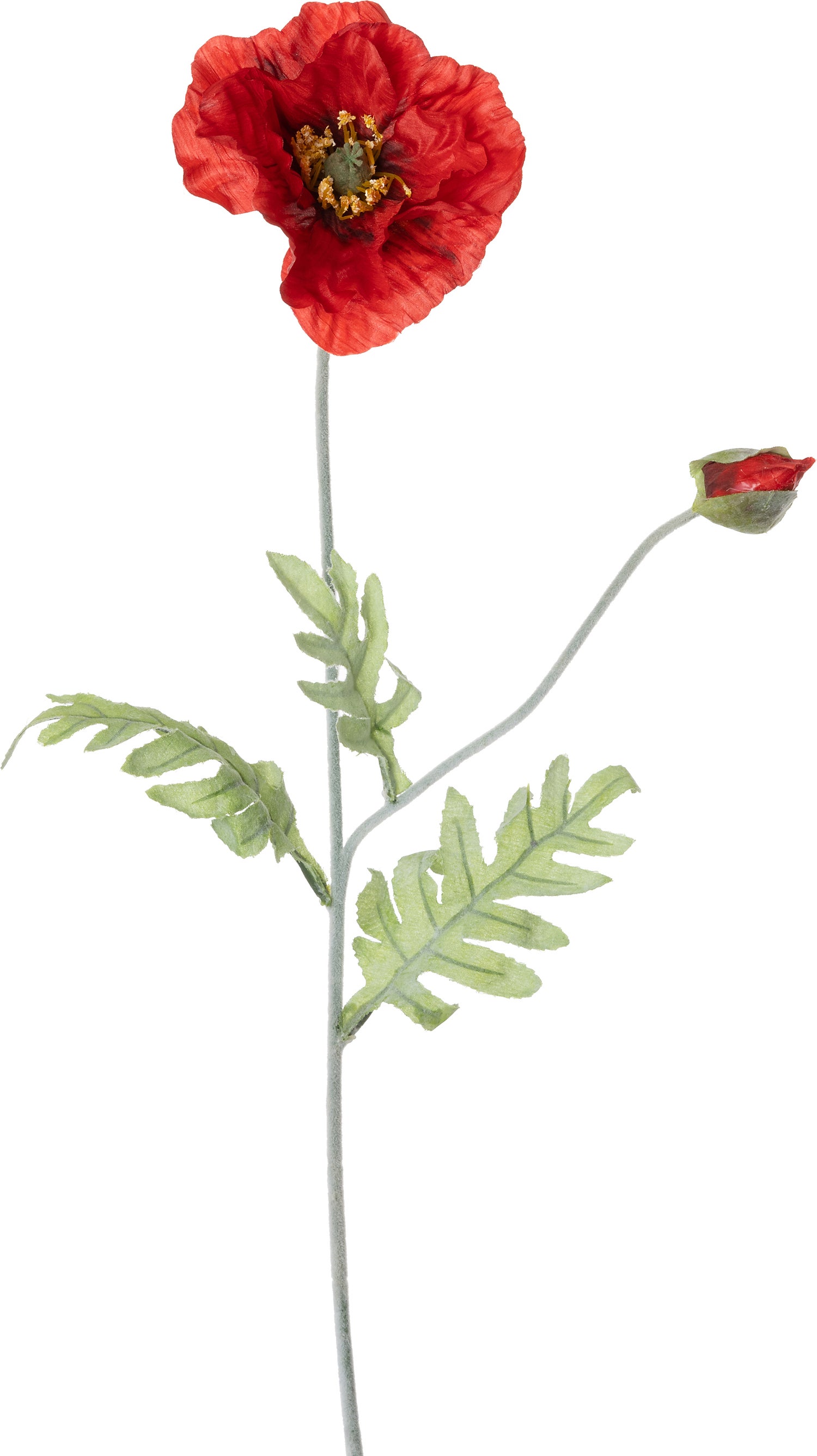 Intratuin kunstbloem Klaproos rood 72 cm