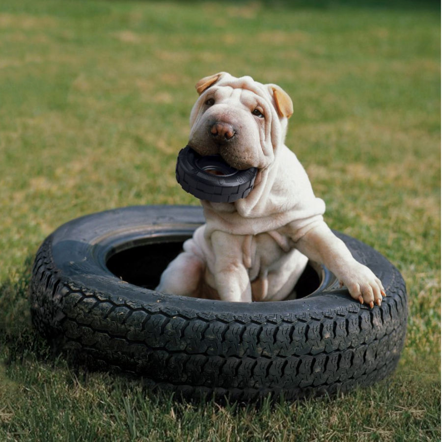 Brinquedo pneumático para mordida de cachorro Kong Extreme Traxx
