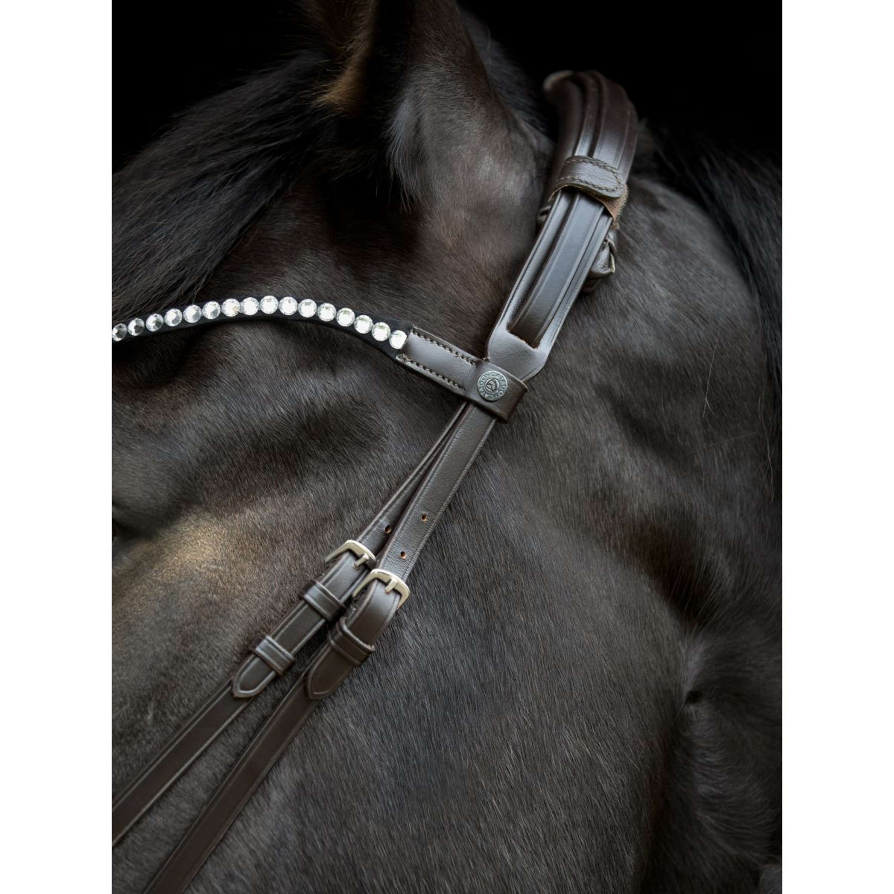 Catago Frontriem Gentle Bruin