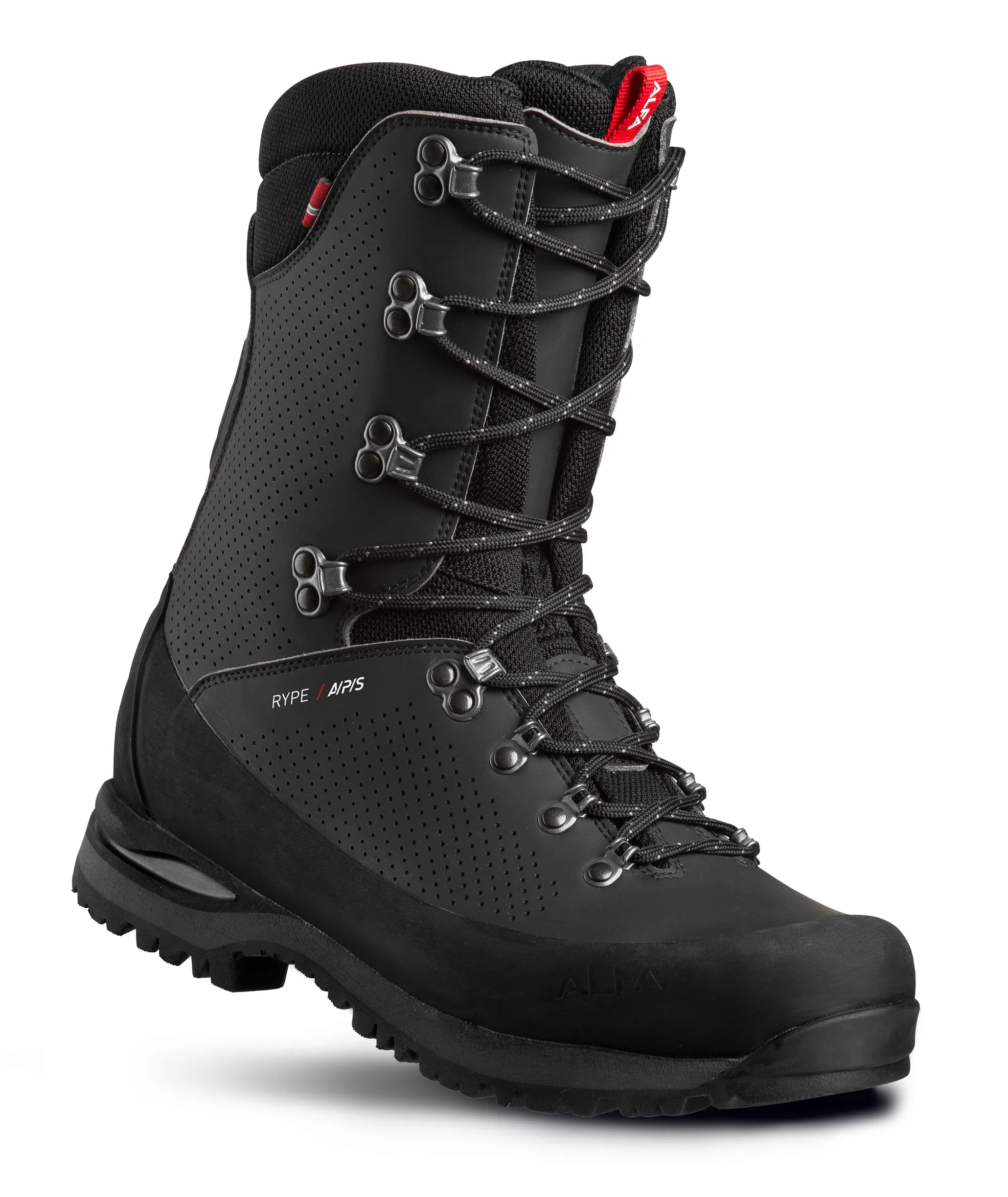 Alfa Unisex Rype A/P/S Gore-Tex Black