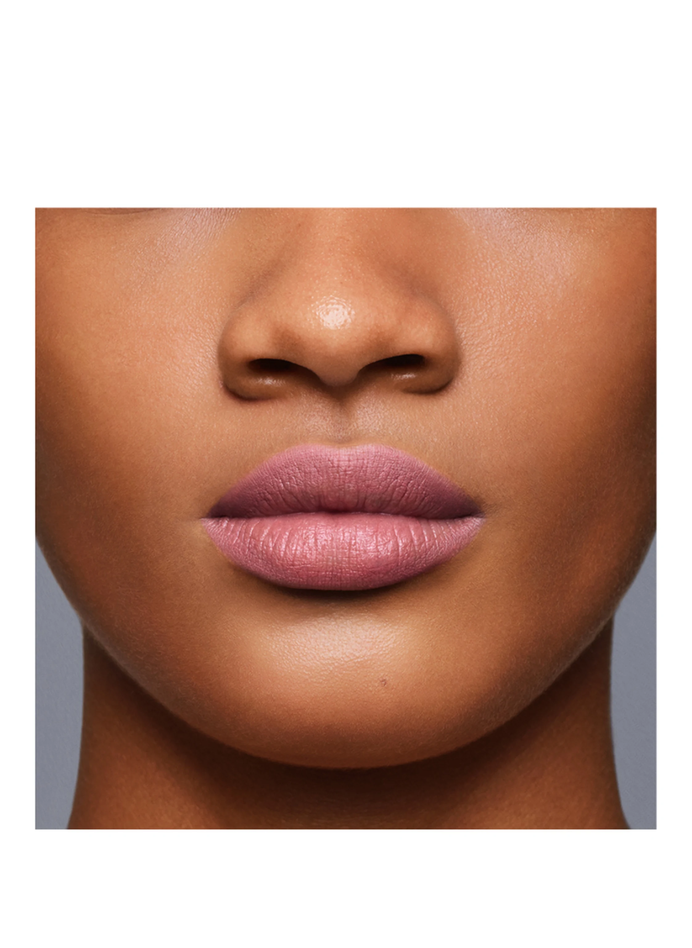 SHISEIDO LIPLINER INKDUO