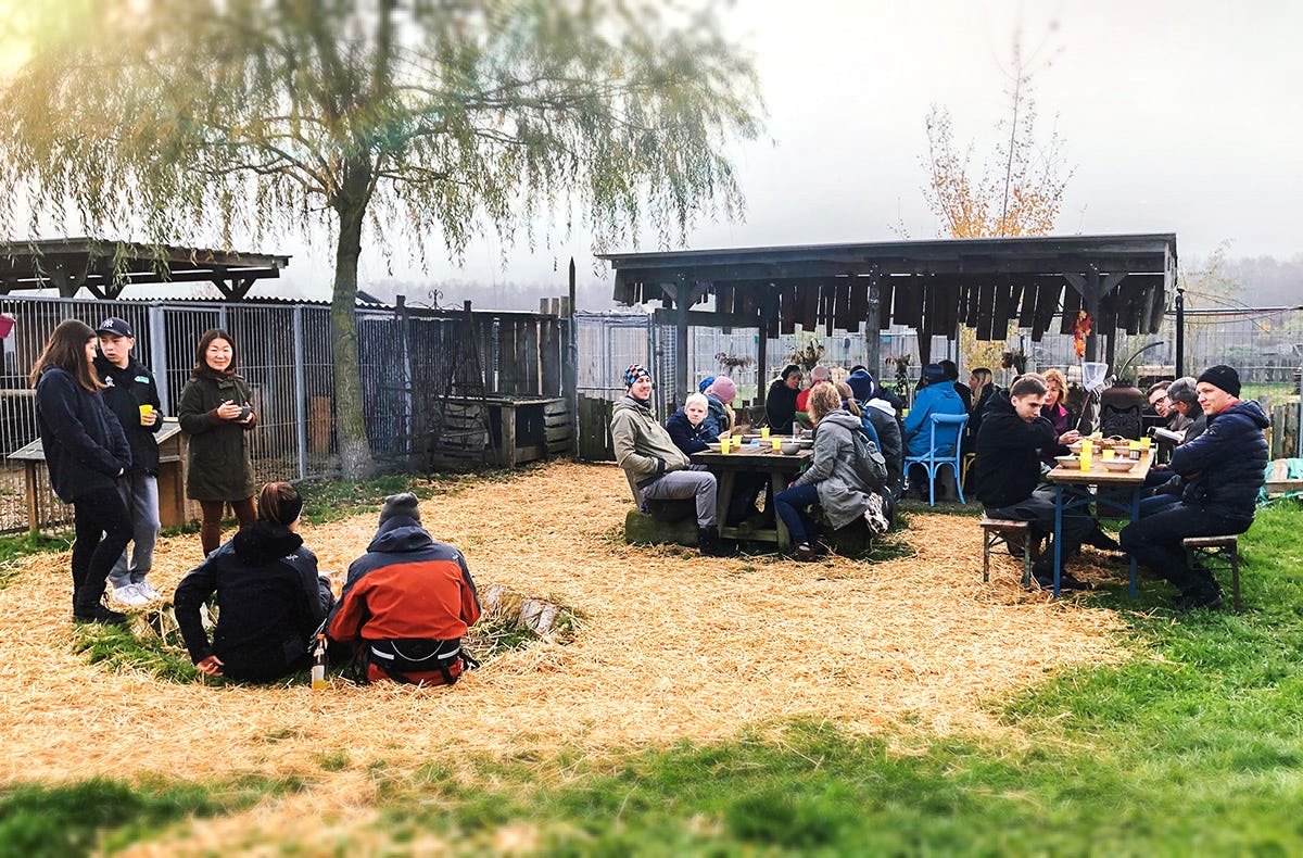 Huskytrekking in Dietfurt
