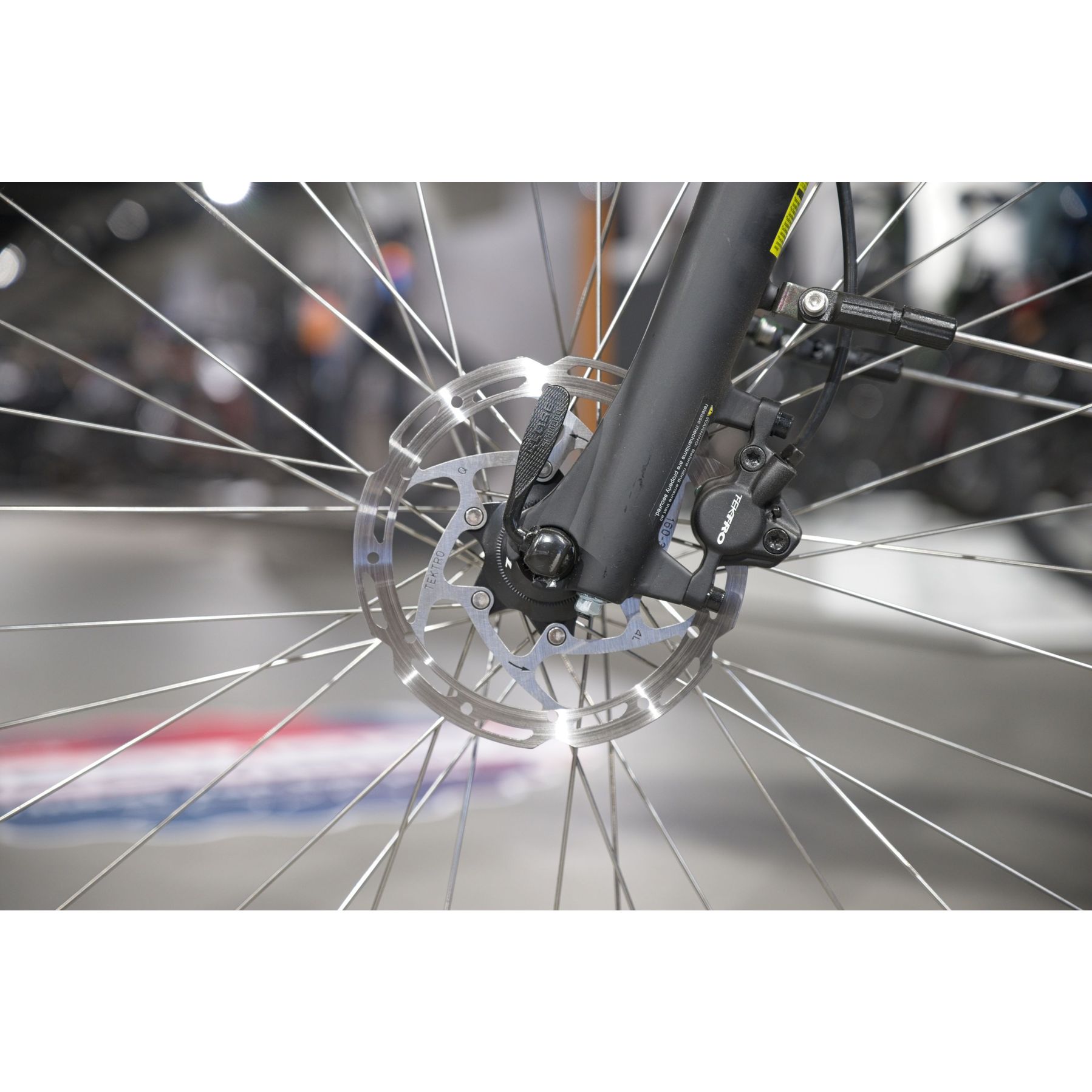 Batavus Altura E-Go Power Pro 2025