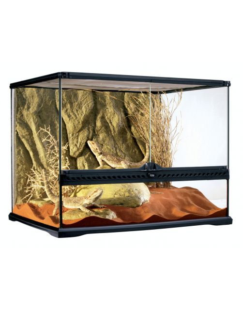 Exo Terra Glas Terrarium & Achterwand - Terraria