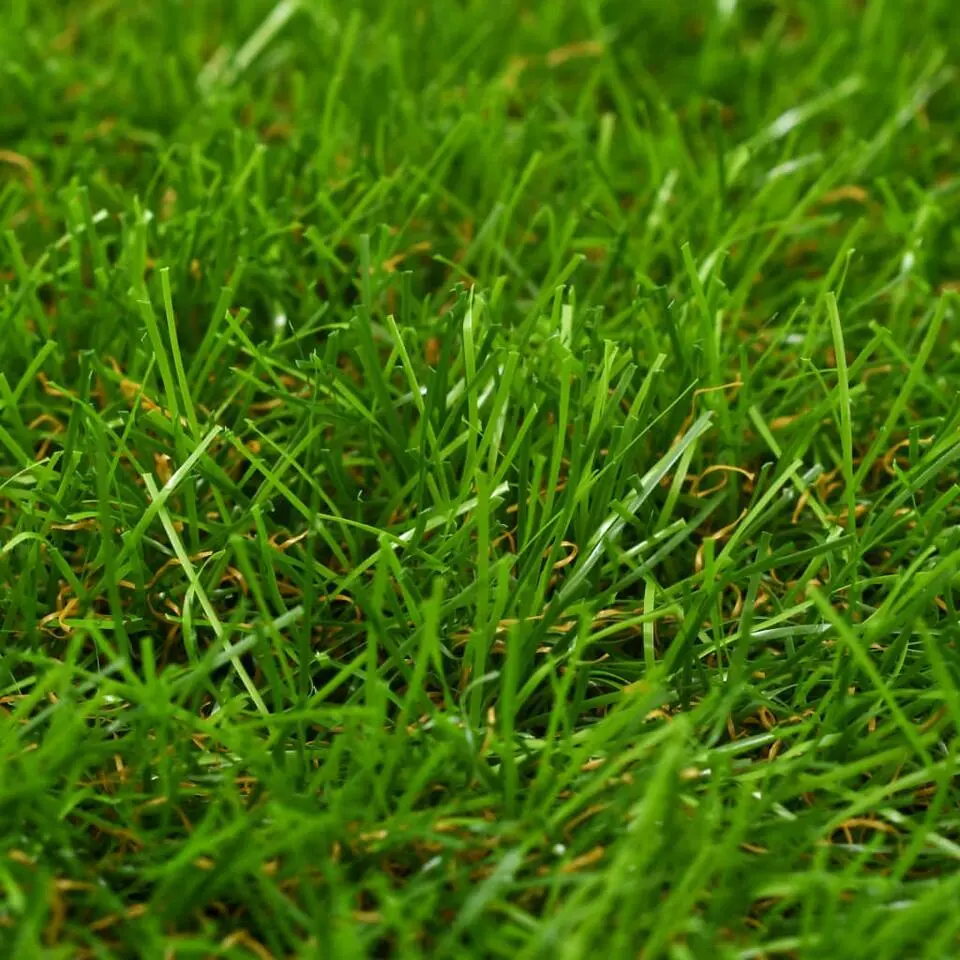 vidaXL - Kunstgras - Groen - Polypropyleen - 1 x 10 m