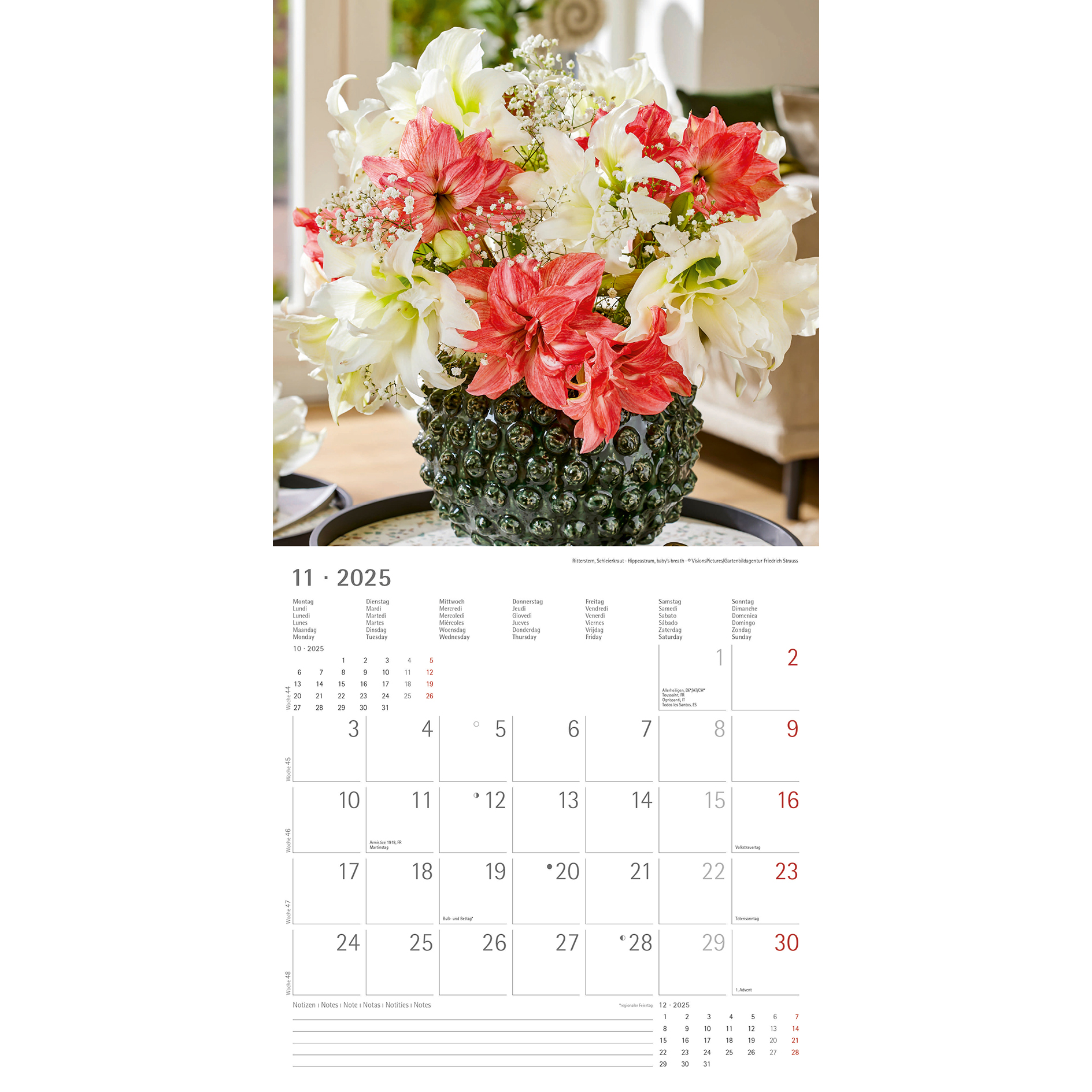Broschürenkalender 2025 - Blumen - 30x30 cm