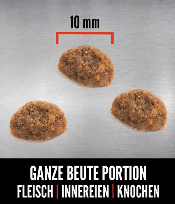 ORIJEN™ Trockenfutter für Katzen Original