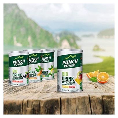 Punch Power Biodrink Antioxydant - Fruits rouges - 500g