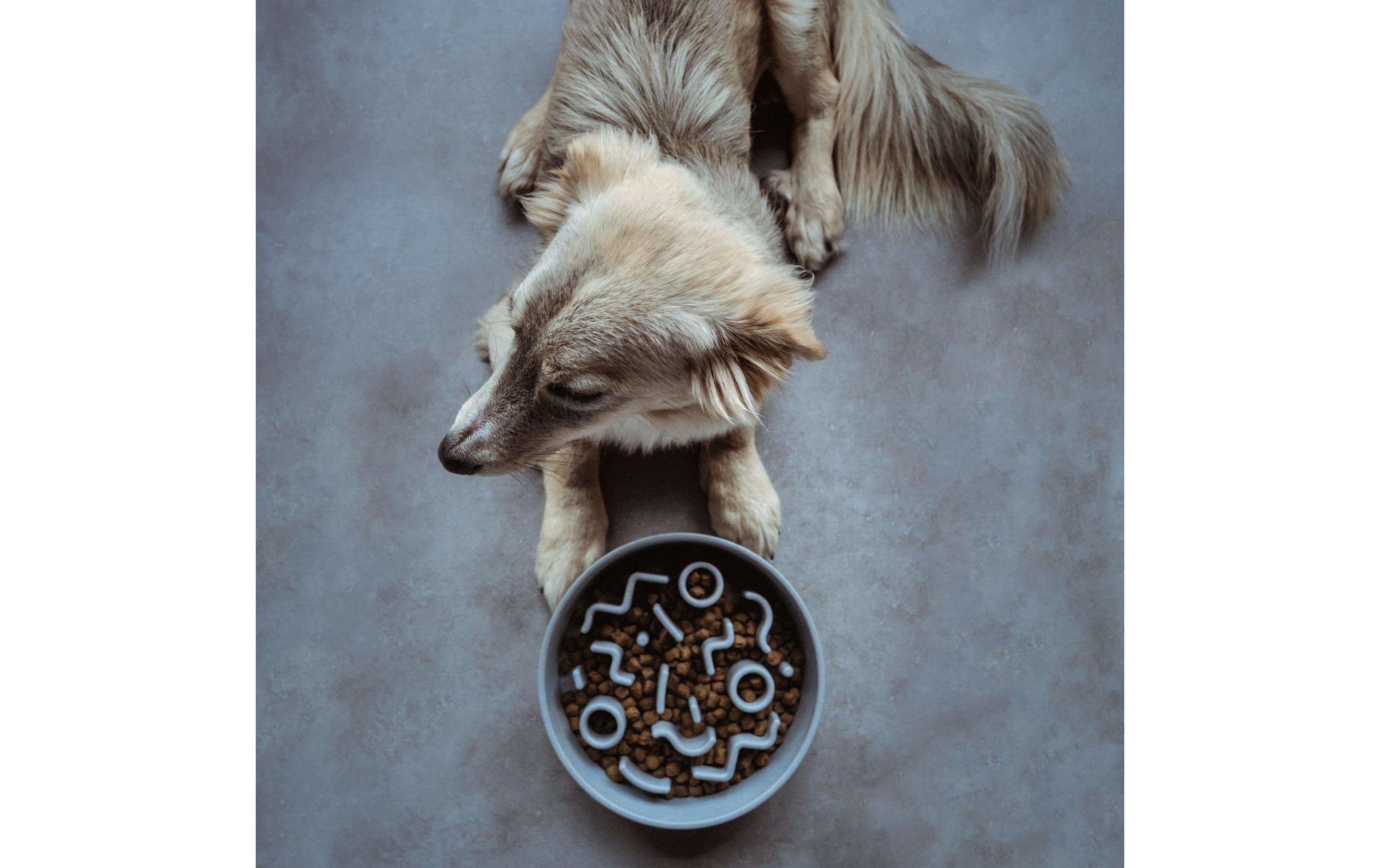 Bambusnapf Bamboo Dog Slow Feeder Ø 28 cm, Ice-BlueAnti-Schling-Napf aus Bambus