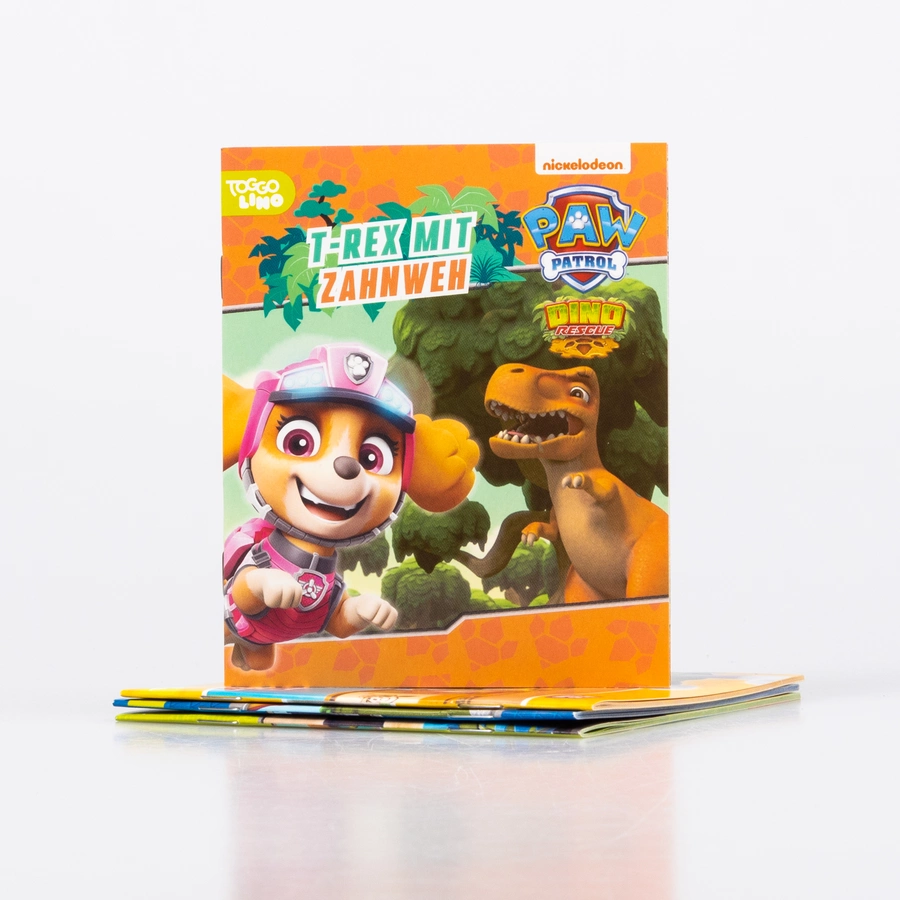 CARLSEN Nelson Mini-Bücher: 4er PAW Patrol 21-24
