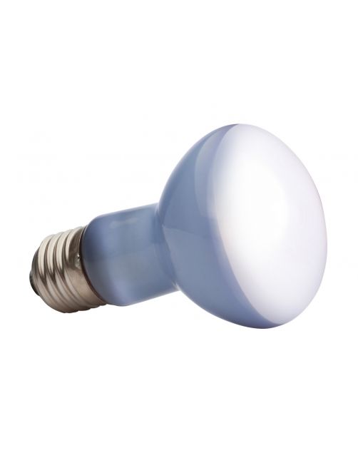 Exo Terra Daylight Basking Spot - Verlichting