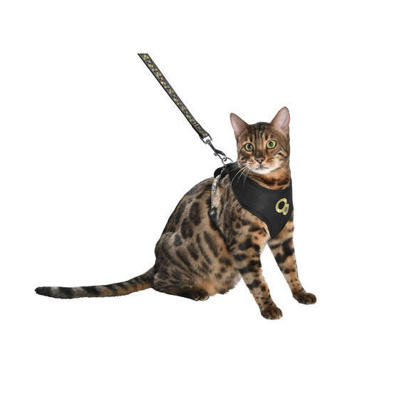 Kit Champagne harnais T-shirt et laisse pour grand chat : noir