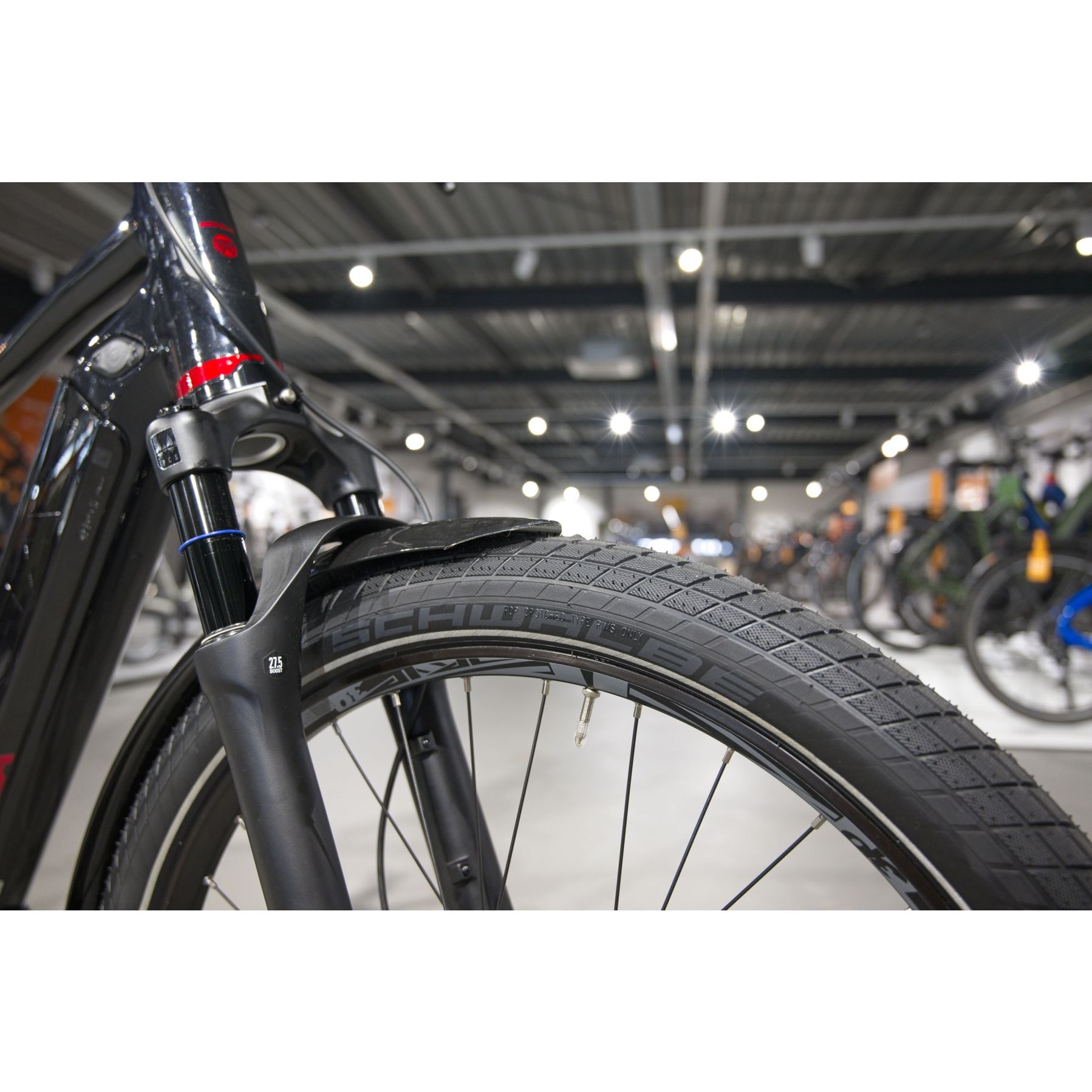 Koga Pace B10 Suspension 2025