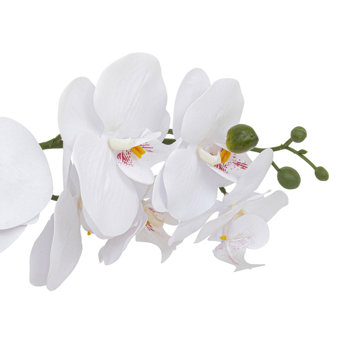 ORCHIDE POT CERAMIQUE CLERA H.52CM