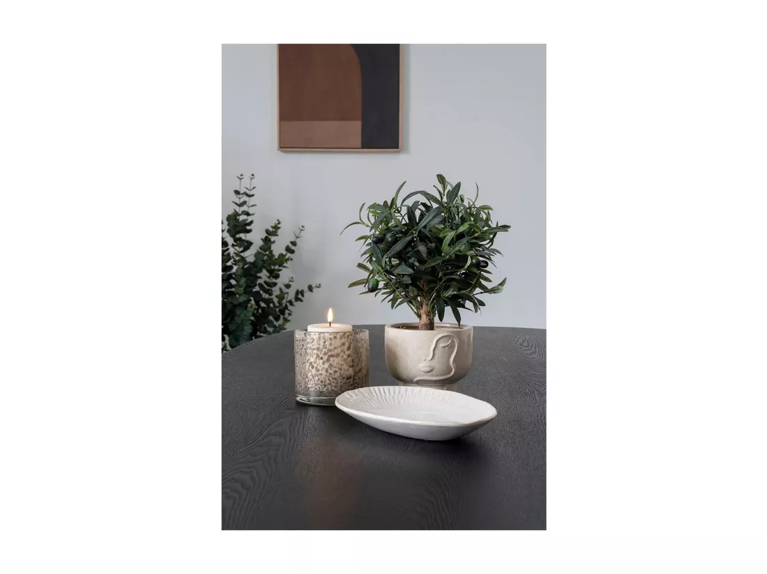 Figueira plat 30x20x4cm blanc.