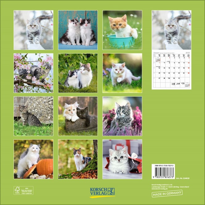 Kalender - 2025 - Cats