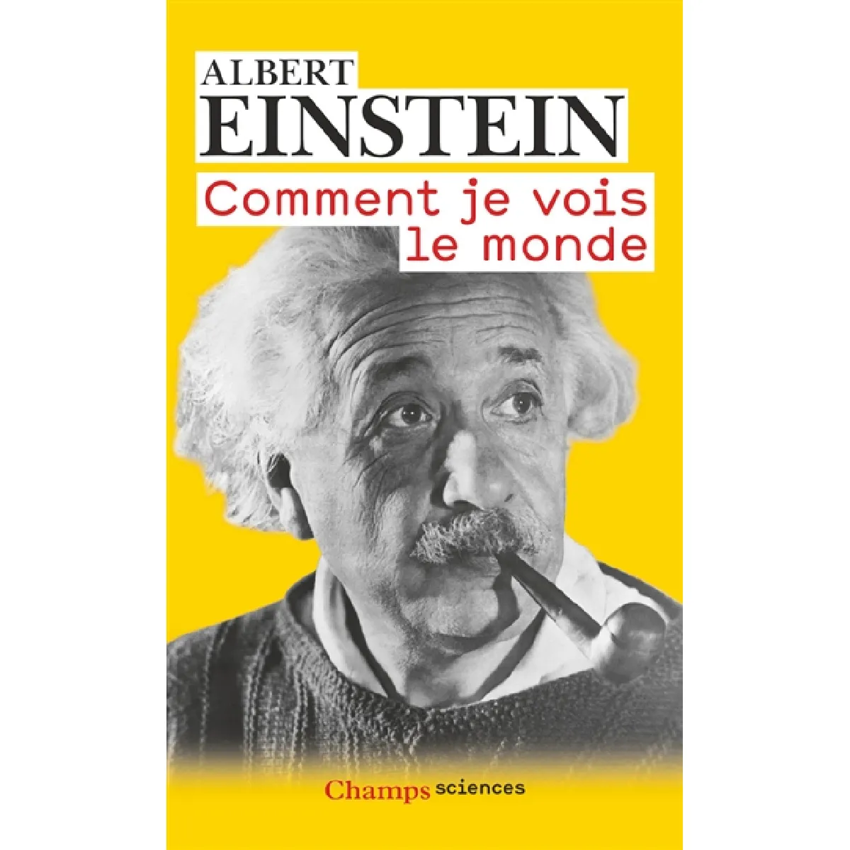 Comment je vois le monde · Occasion