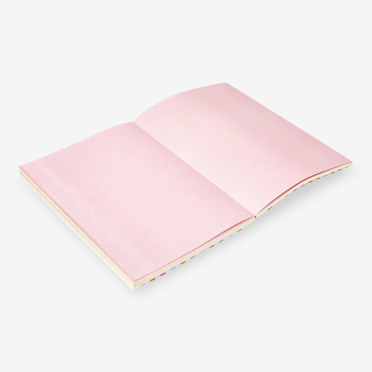 Bullet planner med farvede sider