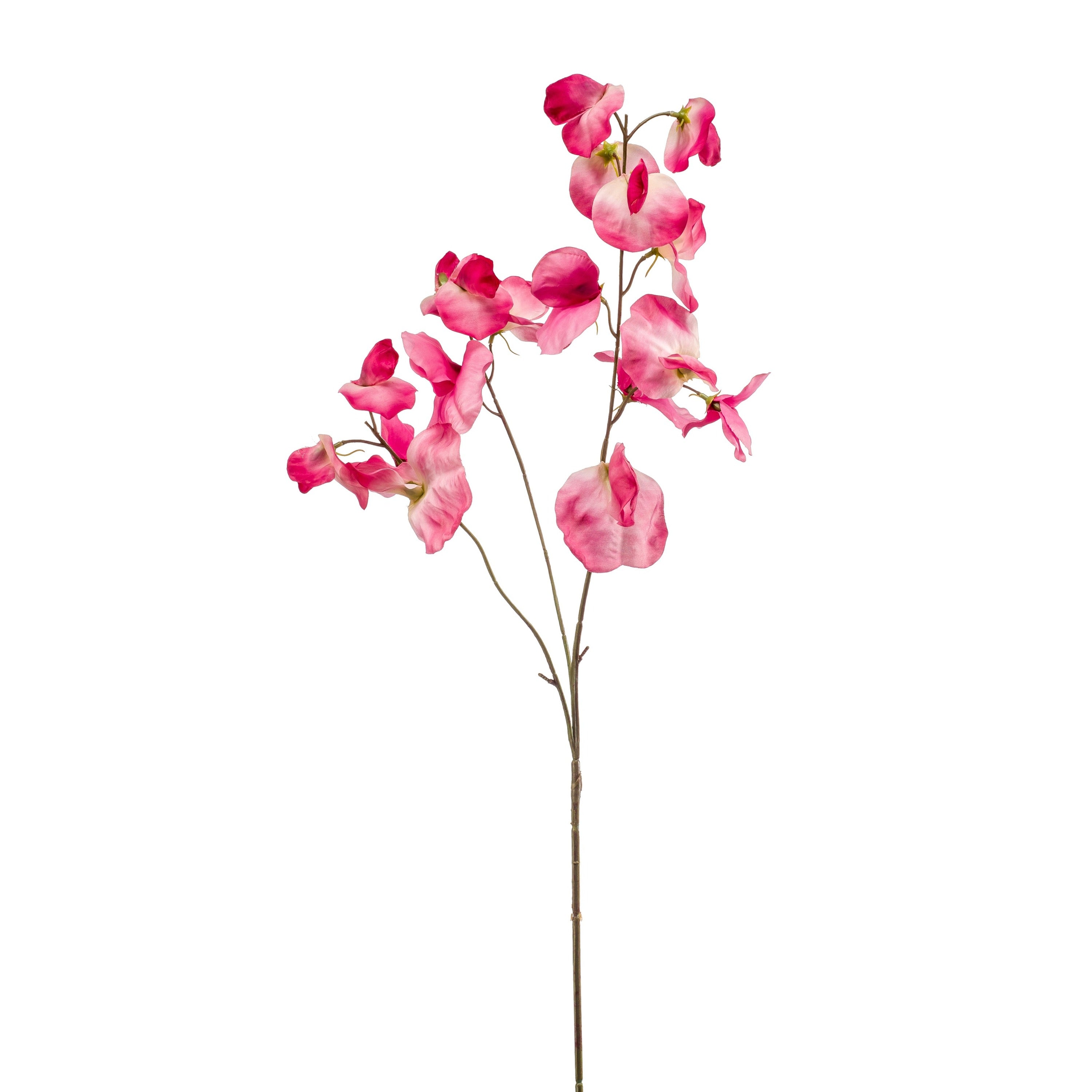 Fleurdirect Kunstbloem Lathyrus Roze -  - 0x75x0cm (BxHxD)