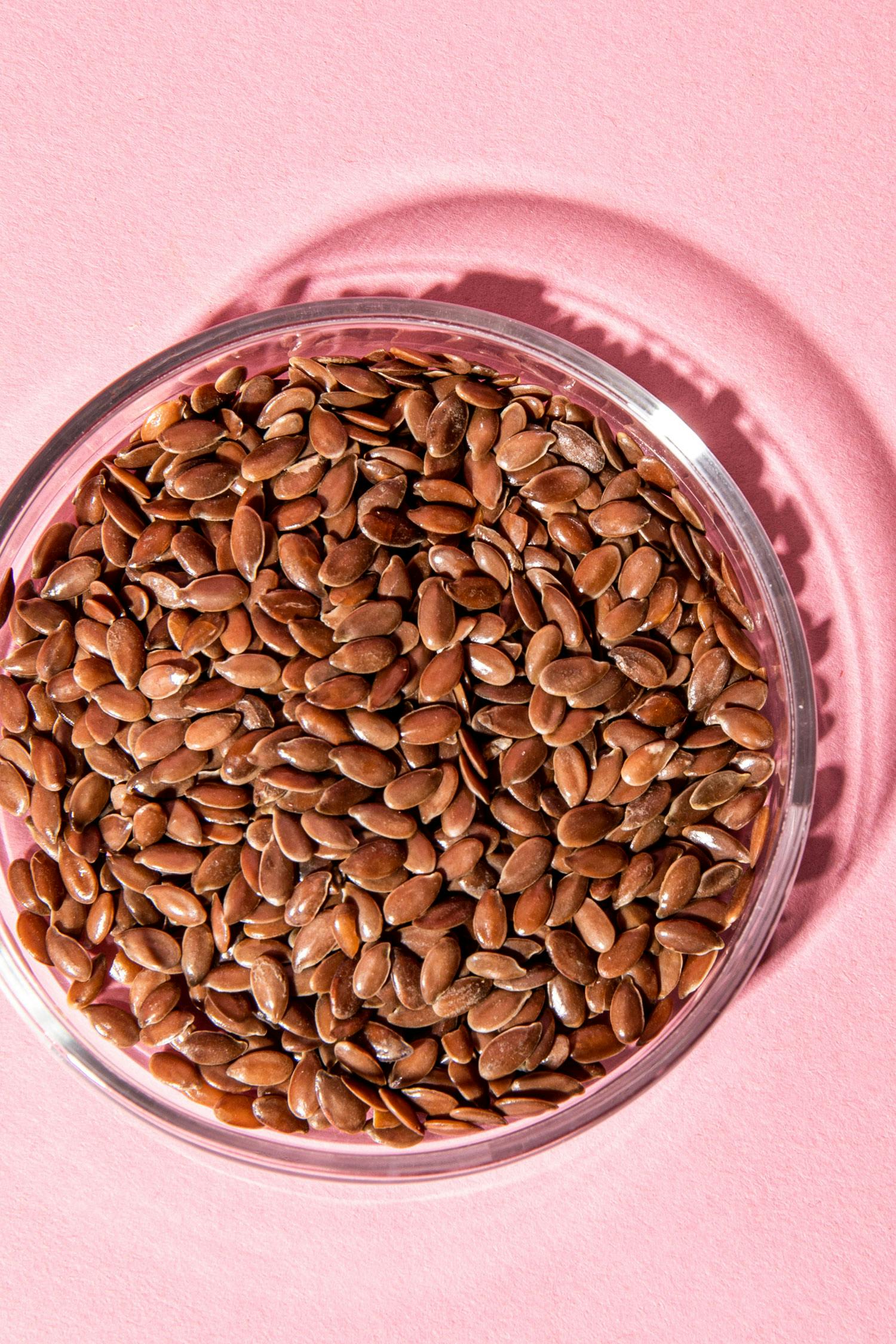 Bio Leinsamen 2 kg
