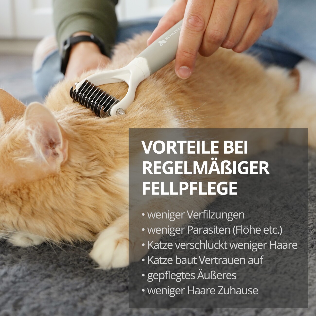 Schlitzohr Unterfellbürste Cookie