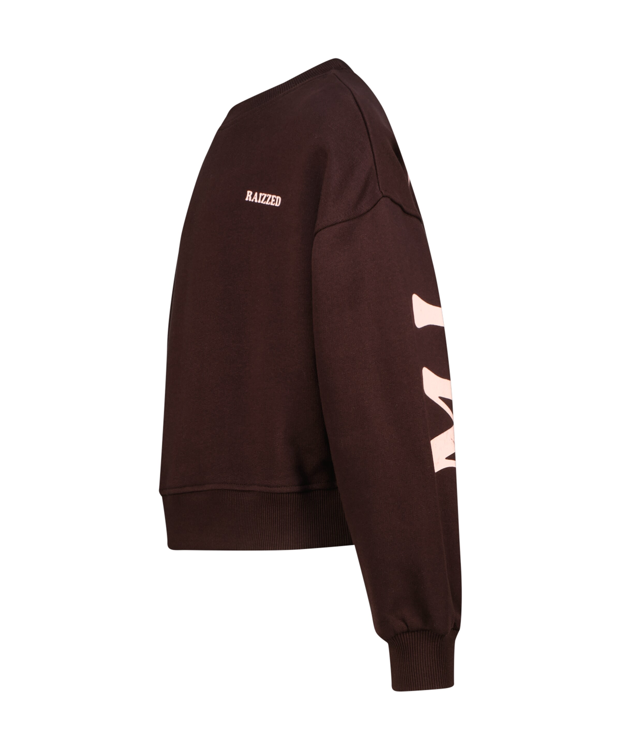 Raizzed Meisjes sweater bruin