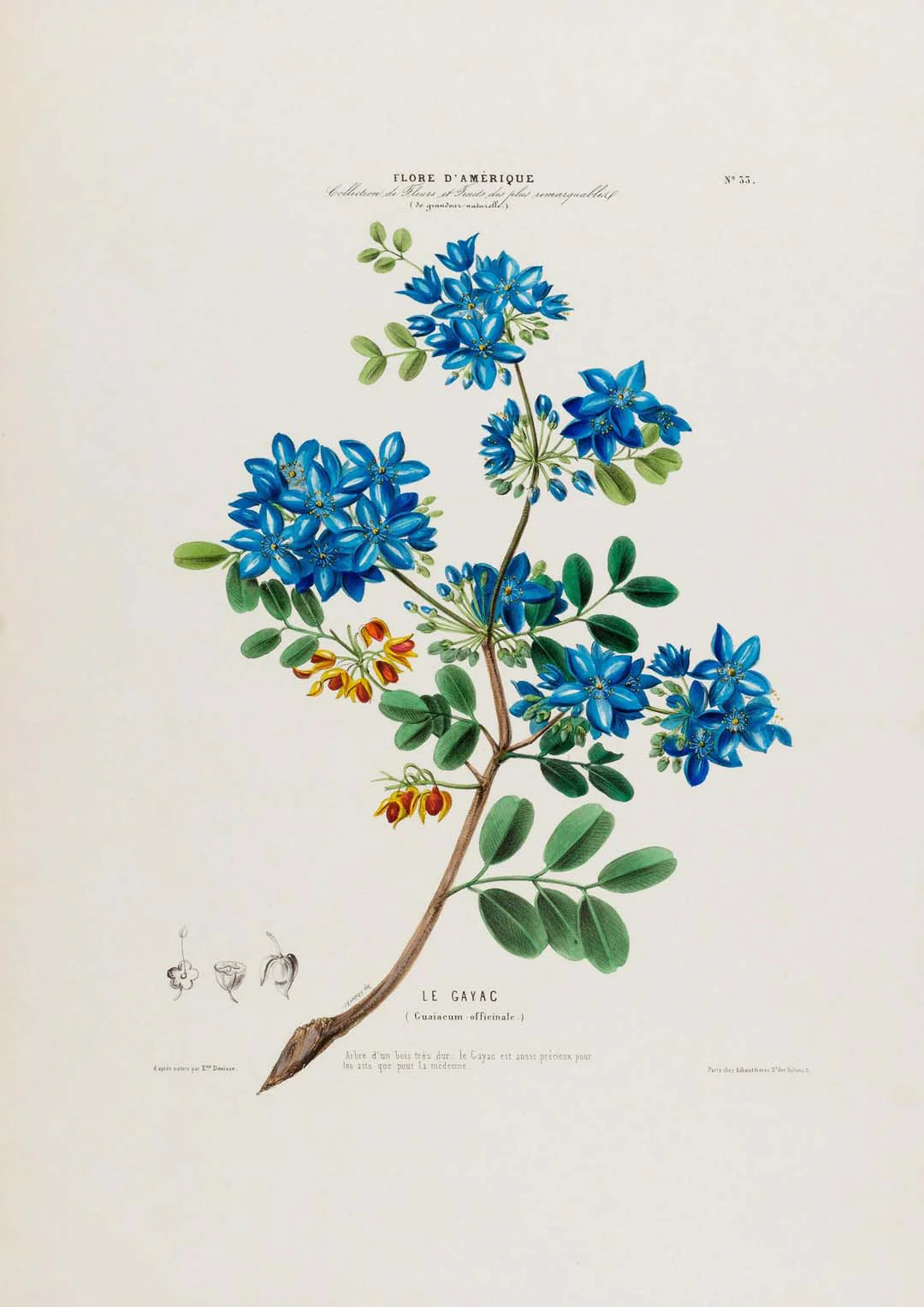 Le Gayac