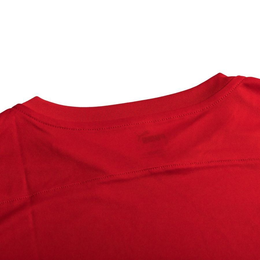 PUMA Maillot teamFINAL 21 Graphic - Rouge/Rouge