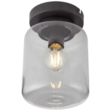 KARWEI plafondlamp Juno rookglas