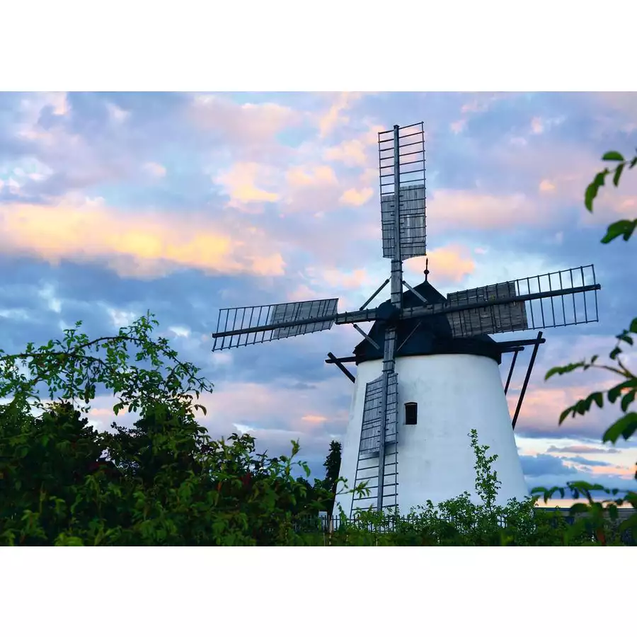Ravensburger Windmühle bei Retz bunt